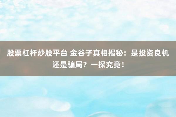 股票杠杆炒股平台 金谷子真相揭秘：是投资良机还是骗局？一探究竟！