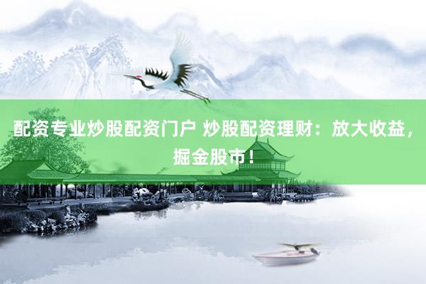 配资专业炒股配资门户 炒股配资理财：放大收益，掘金股市！