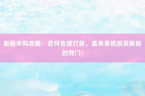 新股申购攻略：若何告捷打新，直率掌抓投资新股的窍门！