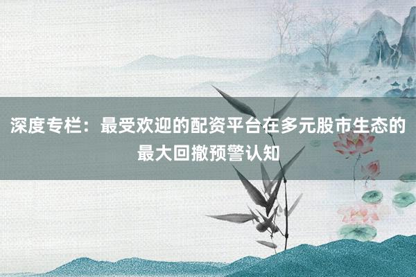 深度专栏：最受欢迎的配资平台在多元股市生态的最大回撤预警认知