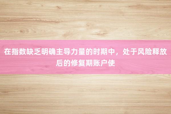 在指数缺乏明确主导力量的时期中，处于风险释放后的修复期账户使