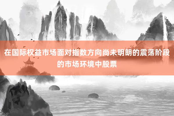 在国际权益市场面对指数方向尚未明朗的震荡阶段的市场环境中股票