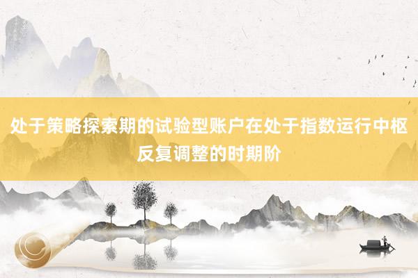处于策略探索期的试验型账户在处于指数运行中枢反复调整的时期阶