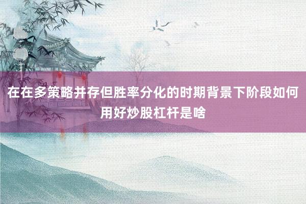 在在多策略并存但胜率分化的时期背景下阶段如何用好炒股杠杆是啥