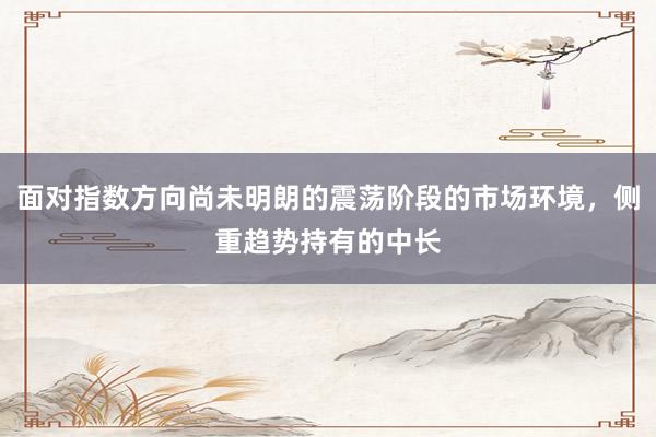 面对指数方向尚未明朗的震荡阶段的市场环境，侧重趋势持有的中长
