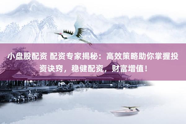 小盘股配资 配资专家揭秘：高效策略助你掌握投资诀窍，稳健配资，财富增值！