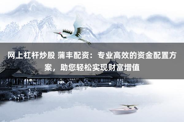 网上杠杆炒股 蒲丰配资：专业高效的资金配置方案，助您轻松实现财富增值