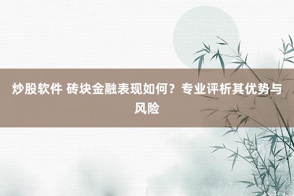 炒股软件 砖块金融表现如何？专业评析其优势与风险