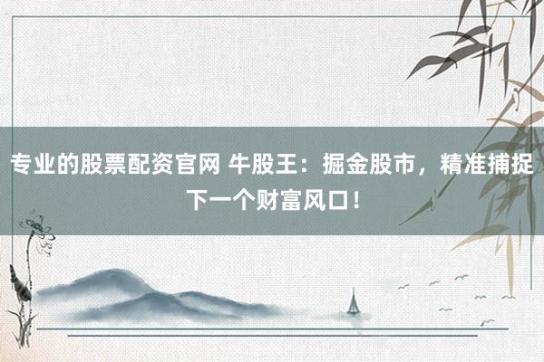 专业的股票配资官网 牛股王：掘金股市，精准捕捉下一个财富风口！